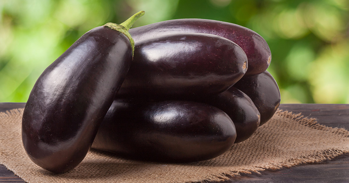 eggplant