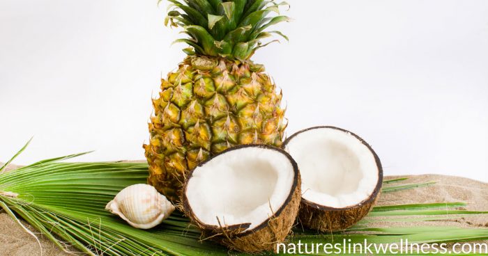 Pineapple Coconut Island Sunshine Bars