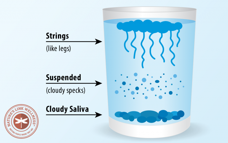 candida-spit-test-saliva-test-nature-s-link-wellness-center